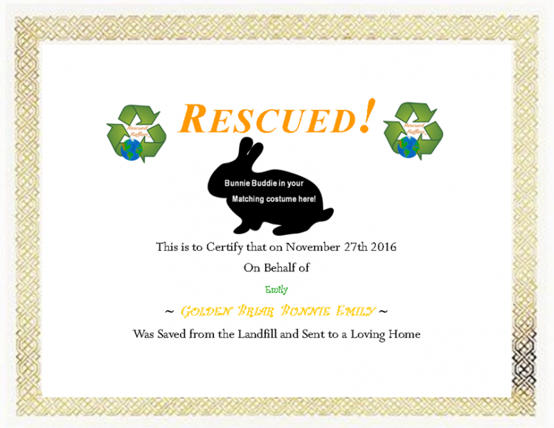 Bunnie Buddie Customized Certificate