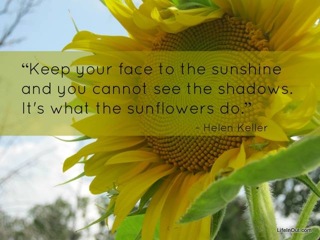 Sunflower thrift ~ Resale with a Purpose