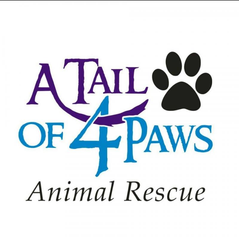 A Tail of Four Paws